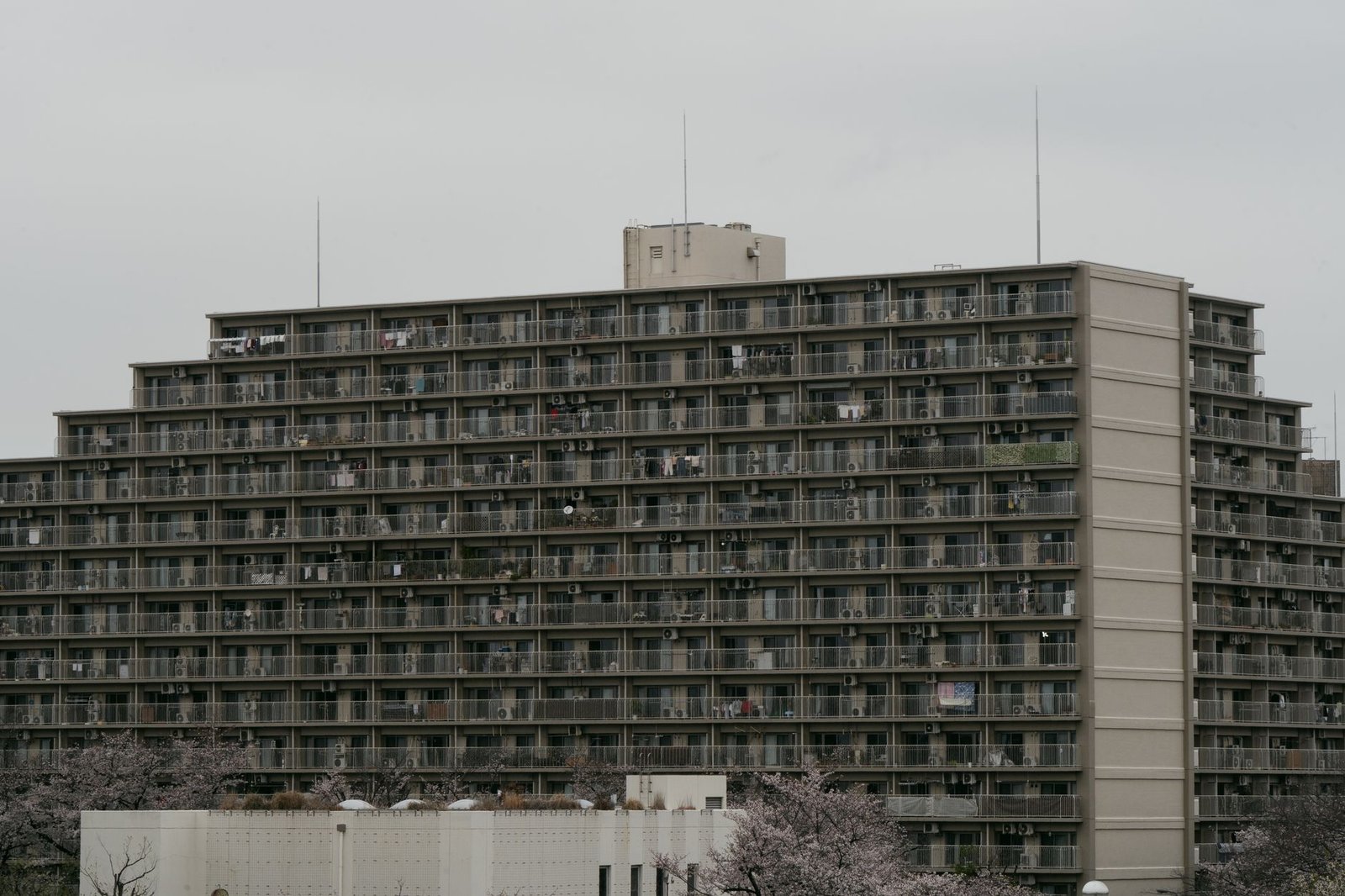 bank of japan building — financial news