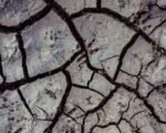 drought cracked earth farmland — financial news