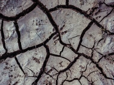 drought cracked earth farmland — financial news