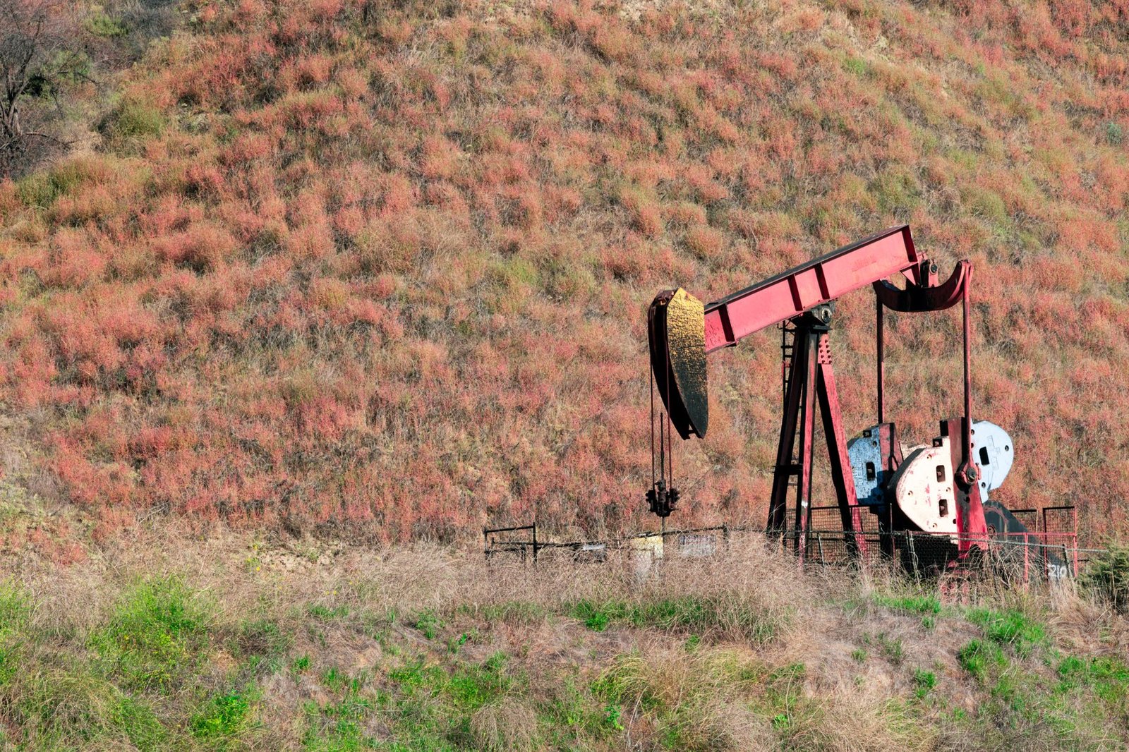 oil pump jack field — financial news