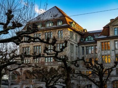 world trade organization geneva building — financial news