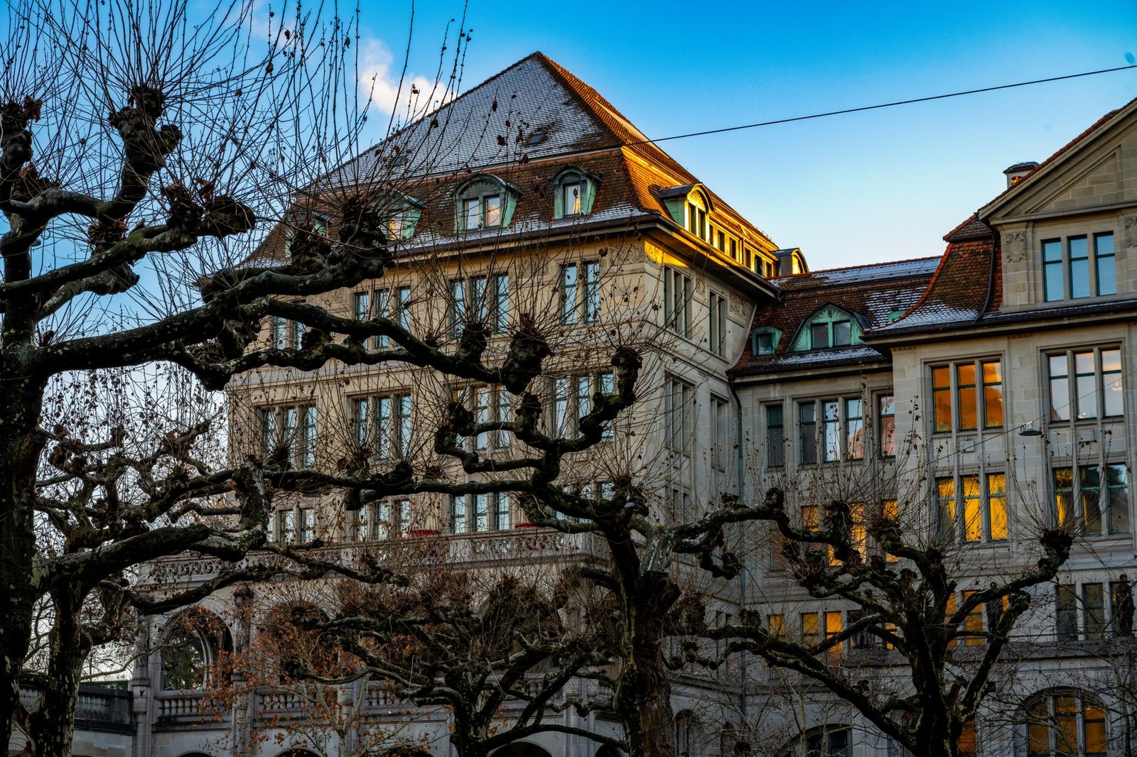world trade organization geneva building — financial news