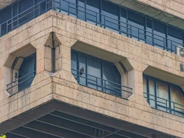 reserve bank of india building — financial news