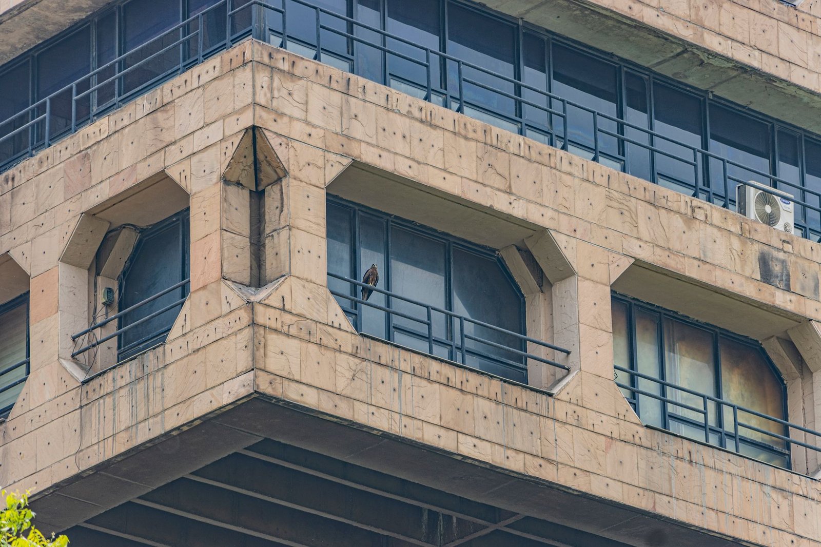 reserve bank of india building — financial news