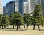 bank of japan building tokyo — financial news