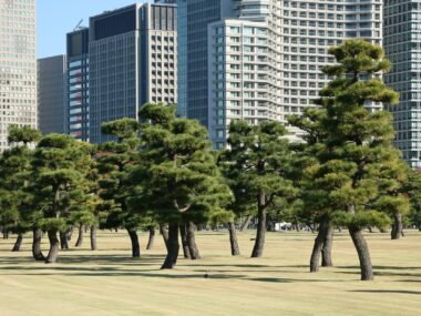 bank of japan building tokyo — financial news