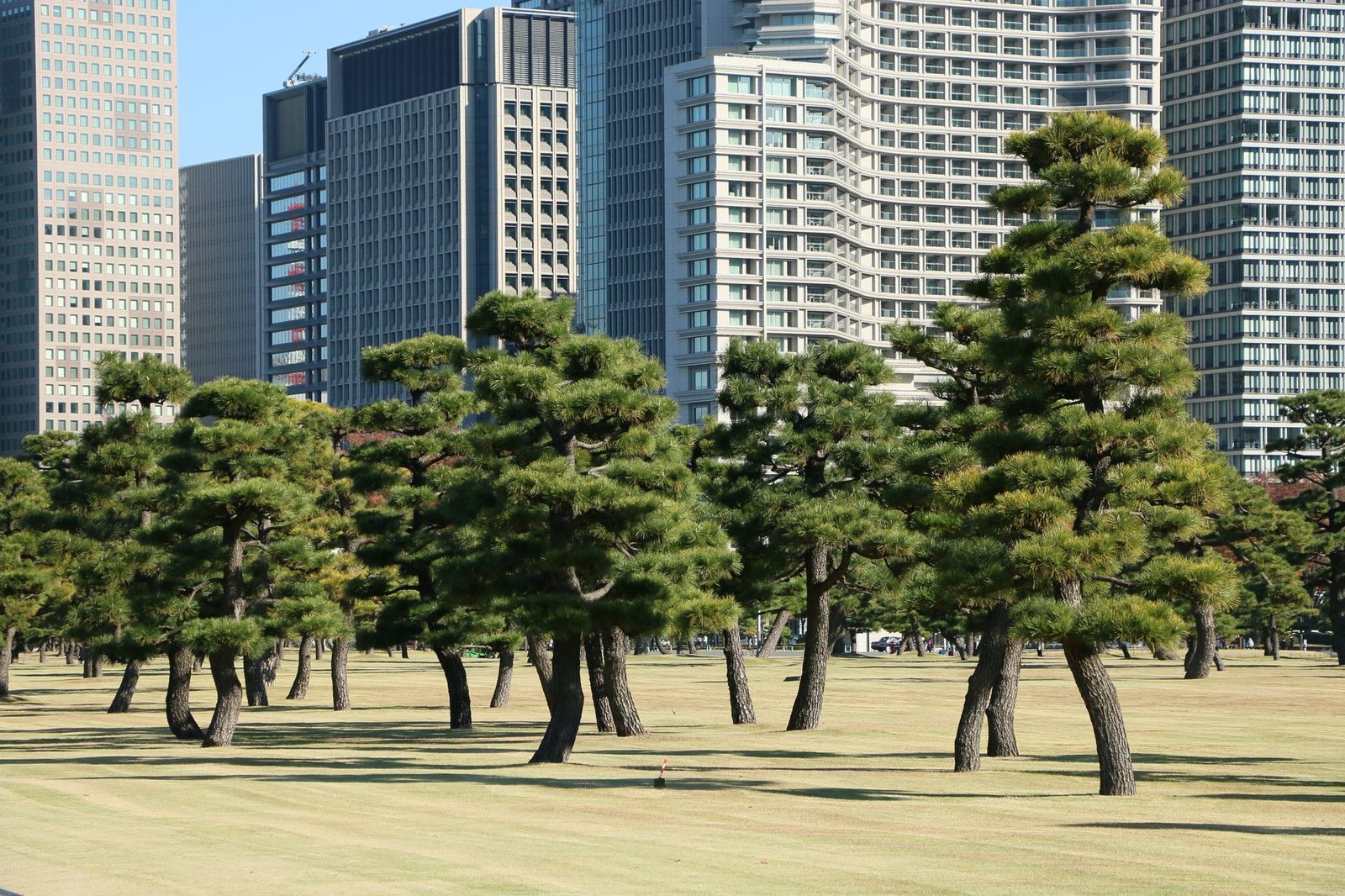 bank of japan building tokyo — financial news