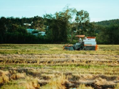 farm field harvest tractor — financial news