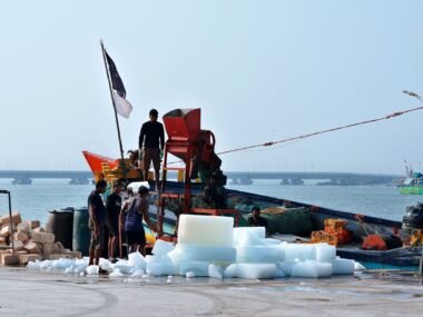 india fishing port boats — financial news