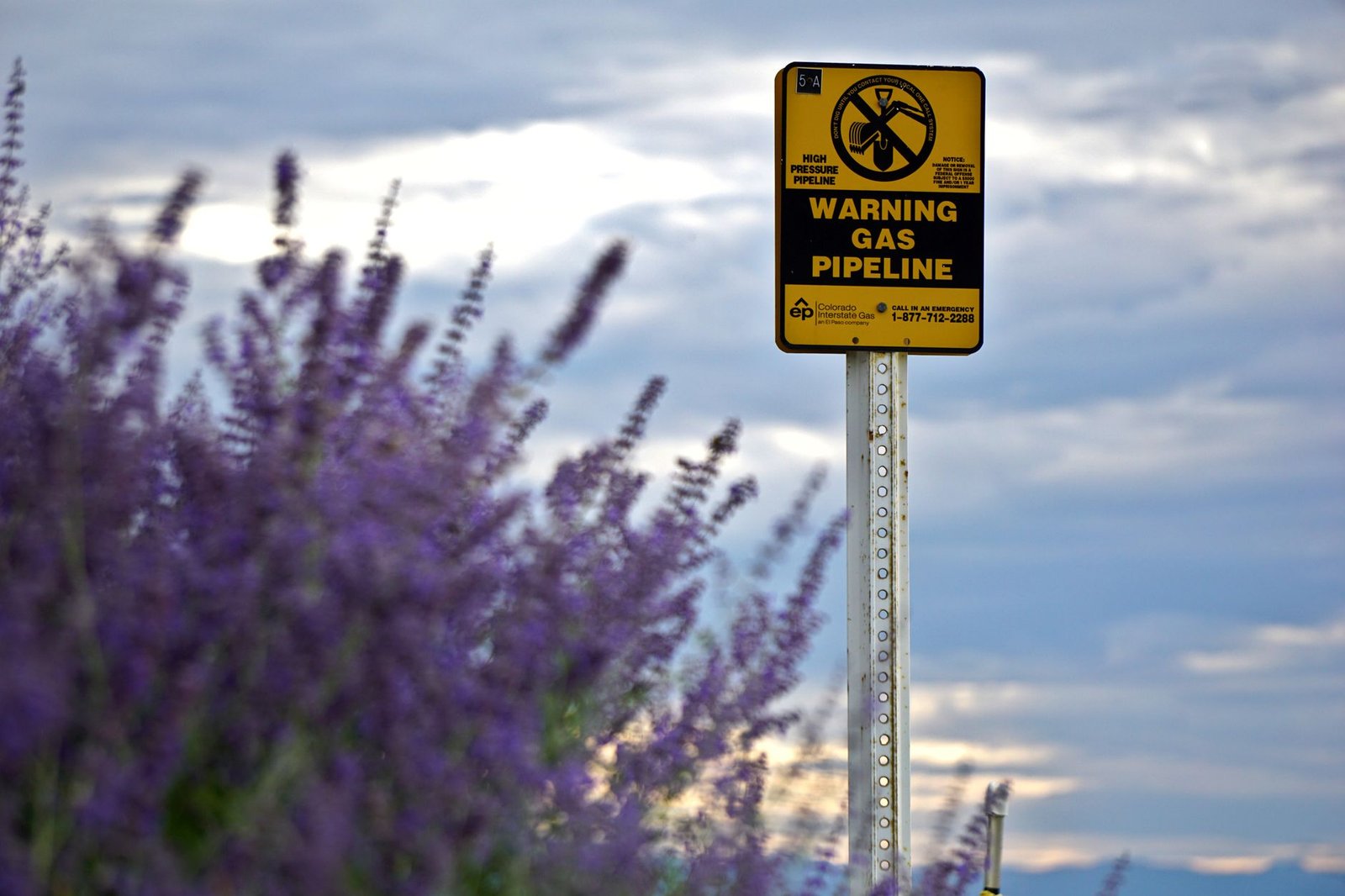 natural gas pipeline — financial news