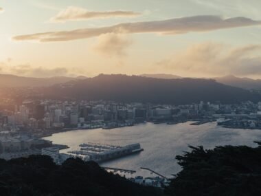 new zealand city skyline — financial news
