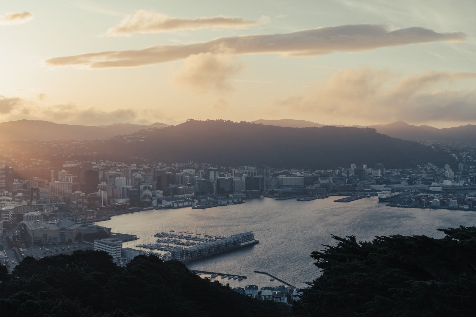 new zealand city skyline — financial news