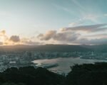 new zealand cityscape — financial news