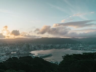 new zealand cityscape — financial news