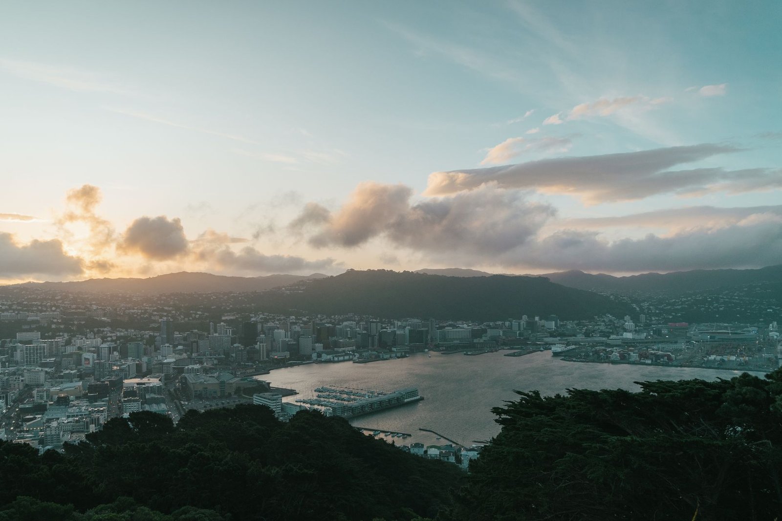New Zealand lifts interest rates to 2.75% as central bank flags measured tightening ahead