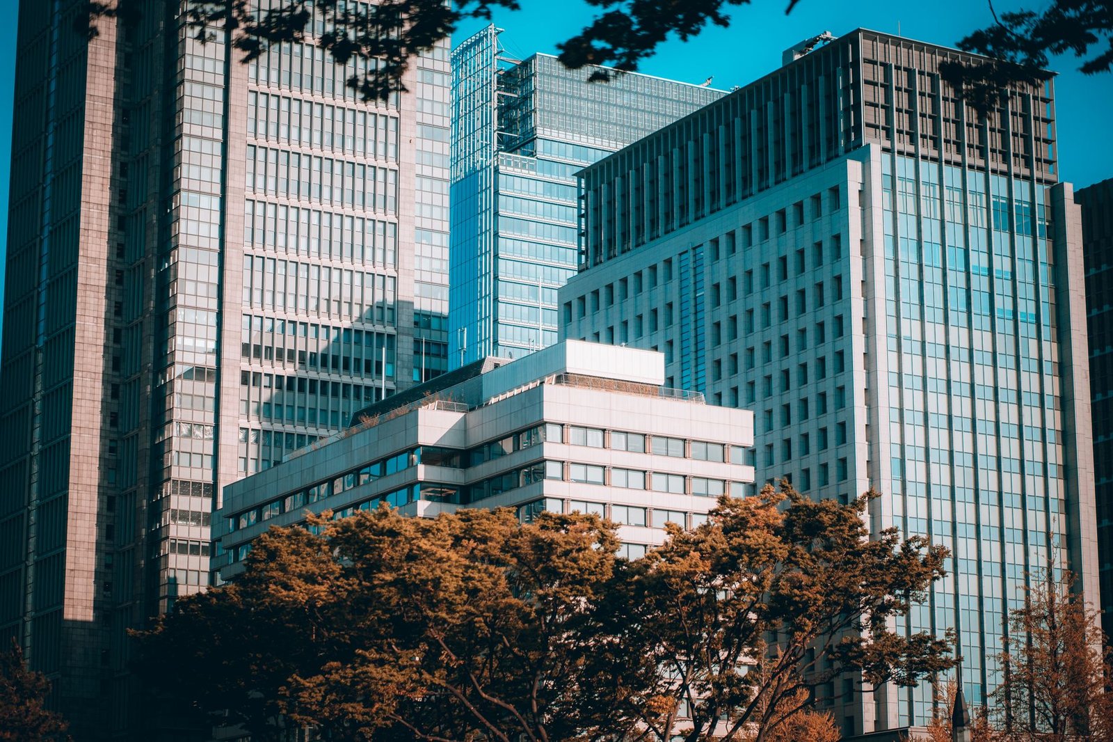 tokyo financial district — financial news