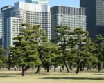 bank of japan building tokyo — financial news