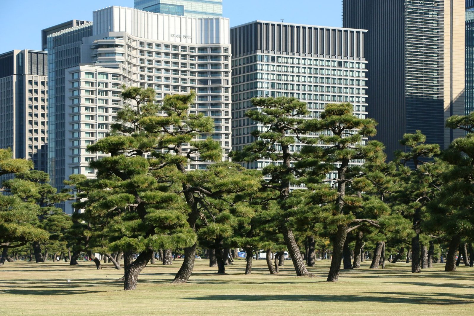 bank of japan building tokyo — financial news