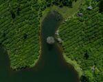 india tea plantation — financial news