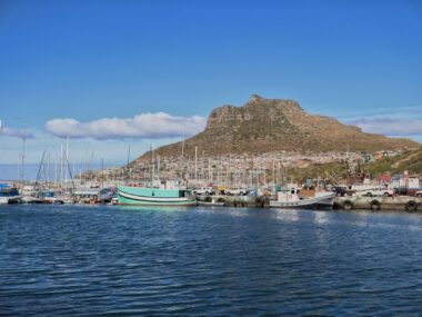 south africa shipping port — financial news