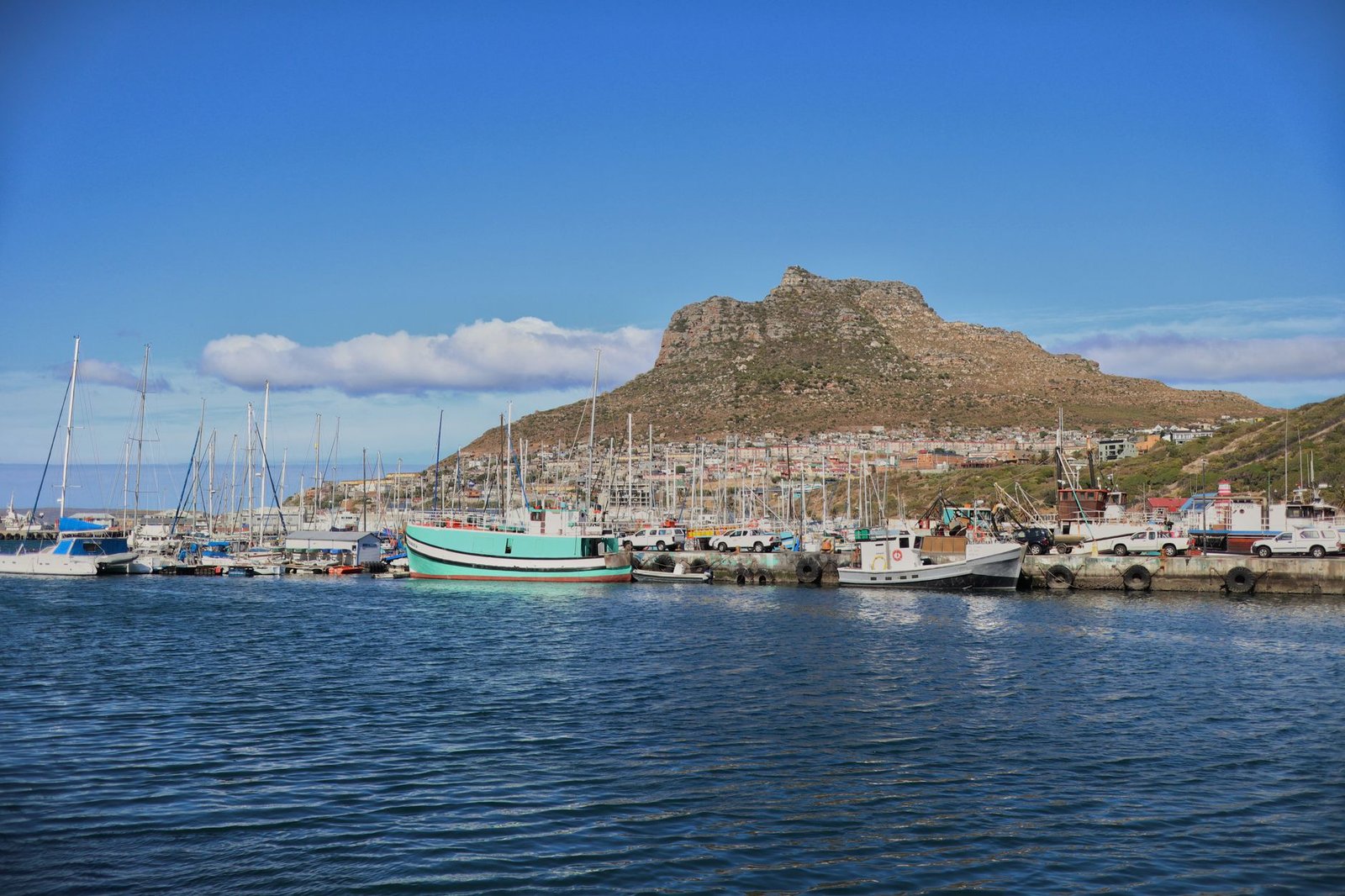 south africa shipping port — financial news