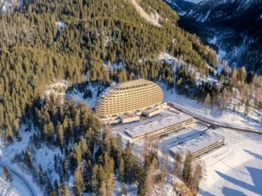 world economic forum davos — financial news